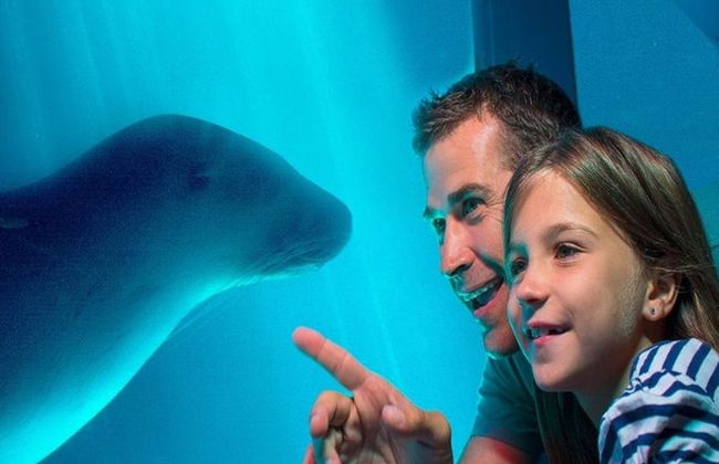 SEA LIFE Sunshine Coast - Foto 5