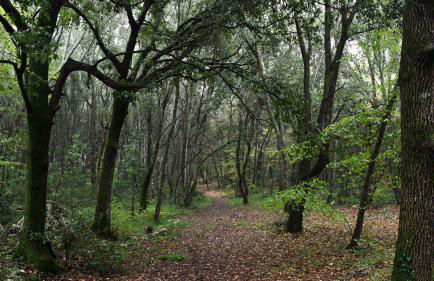 Palazzo d'Itria - Luxury holiday in Valle d'Itria - Foto 48