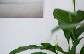 Apartment in Weinstadt-Schnait - Foto 14