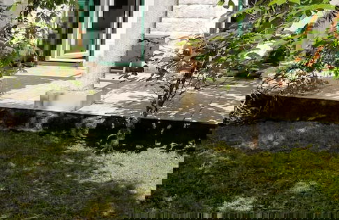 Green Village Kotor - Foto 40