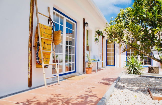 João Jungle - Foto 5