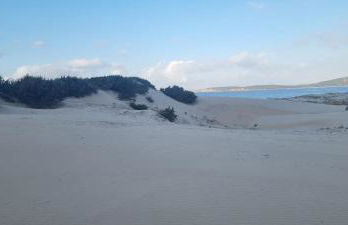 Villa Virginia Porto Pino - Foto 19