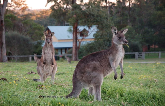 Worrowing Jervis Bay - Photo 10