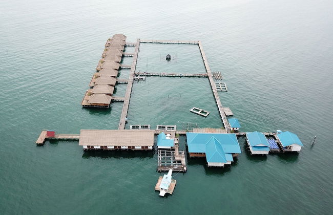 Kelong Pancing Madu Tiga - Foto 30