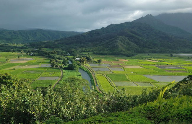 Puamana 25A - Photo 19