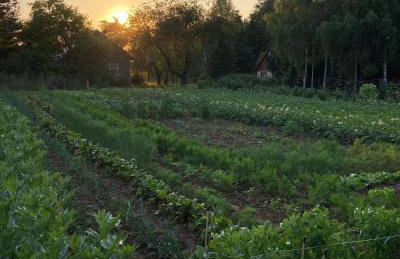 Stasiówka Gospodarstwo Agroturystyczne - Foto 20