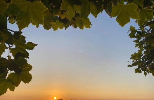 DUPLEX PREMIUM BAIONA CIES Vista Real - Foto 36