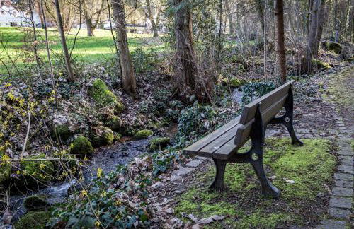 living TIMELESS - Adler Apartments Sasbachwalden - Foto 76