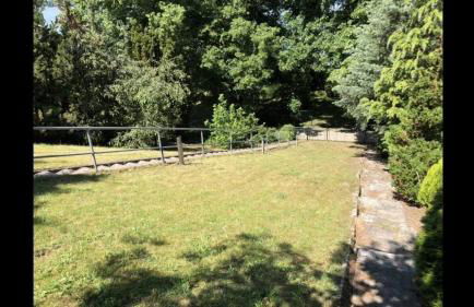 Ferienhaus in Arendsee mit direkter Seenähe - Foto 12