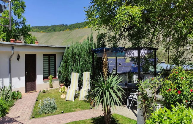 Apartment in Wehlen by Moselle Vineyards - Photo 34