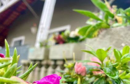 Chácara Milk & Shake - Foto 17