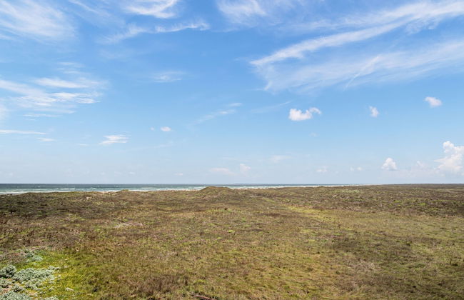 Naut Today - Foto 17