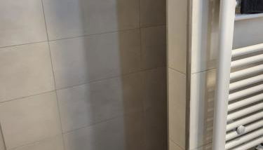 Gästewohnung 1 - Foto 3, Shower