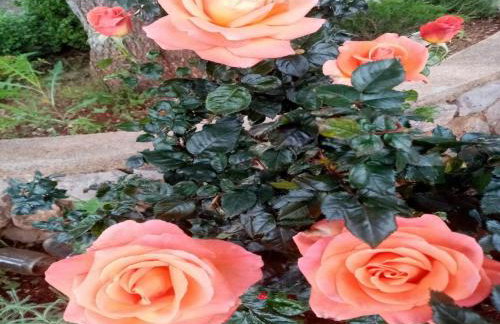 Apartments Paola - Foto 62