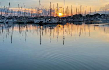 Superbe studio, terrasse, piscine, parking - Photo 21