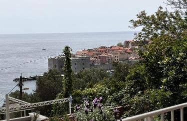 NARANČA apartment OLD CITY view - Foto 4