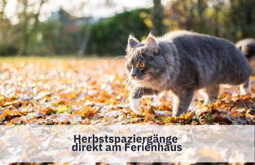 Ferienhaus Rothsee-Oase ideale Ausgangslage mit tollem Ausblick, Sauna und privatem Garten - Foto 43