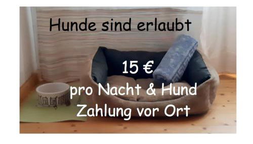 Gästezimmer im Freudenthal - Photo 3