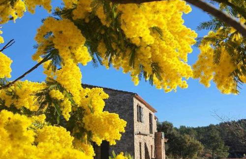 Mas La Cassanya - Foto 1