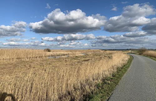 Ferienwohng Zum Garten Delve - Photo 33