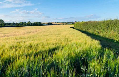 Boundary Stable - Foto 10