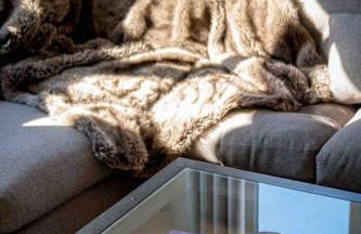 Cedar Cabin Overlooking Bedgebury Forest - Foto 23