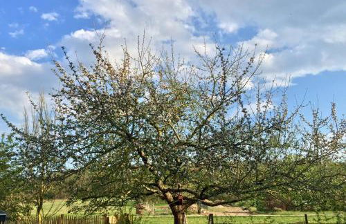 Tinyhouse Bamberg - Foto 3