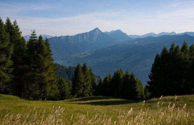 Apartment in Trans Village - Foto 35