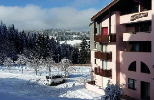appartement montagne la vallée verte cœur station Hirmentaz - Foto 14