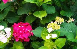 Agriturismo Il Burlino Apartments - Foto 26