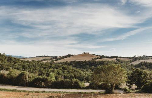 Agriturismo Podere Il Sorbo - Foto 8