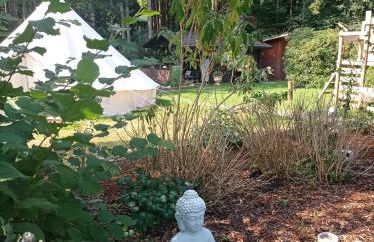 Casa Foresta - minimalistisches 1-Raum Tiny House direkt am Wald - Foto 30