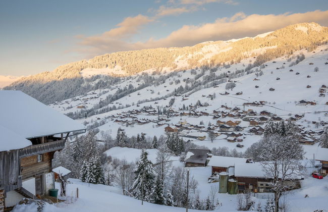 Serviced Apartment Chalet Bärgblüml i Ha - Foto 77