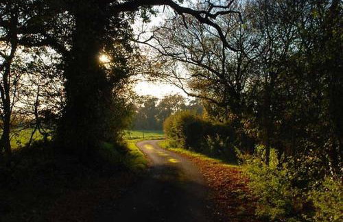 Farm Cottage a cute C17th cottage a walk across the fields to a great pub - Foto 39