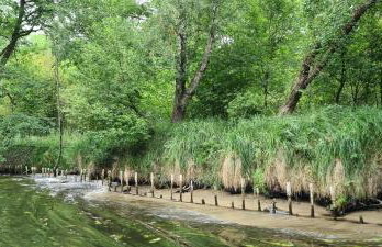 Domek w polu - Foto 50