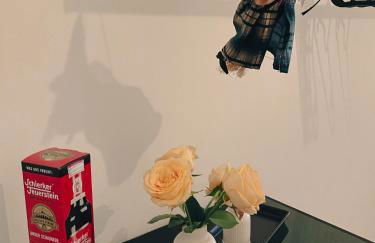 Stadtvilla Haug die exklusiven Ferienwohnungen im Harz - Foto 35