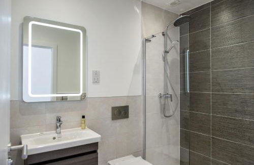 Turnstone - Photo 27