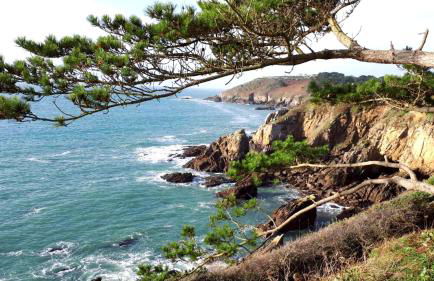 TY MAGARI - Photo 16