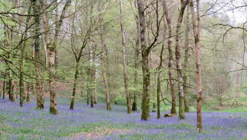 Triumphal Arch Lodge - Foto 5