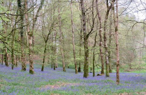 Triumphal Arch Lodge - Foto 5