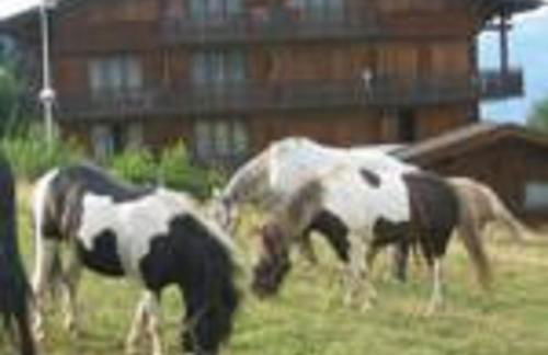 Chalet Gabriel - Foto 16