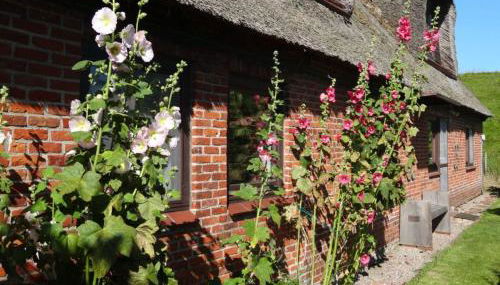 Holiday home with 5 bedrooms - Foto 3