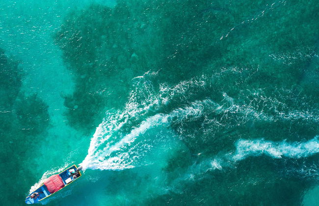 Tour su una barca con fondo trasparente - Foto 1