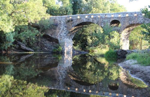 Finca MOLINO DE JARANDA - Foto 15