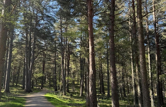 Highland Chalet Retreat in Boat of Garten - Foto 23