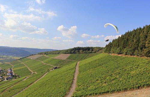 Bernkasteler Moselpanorama - Foto 12
