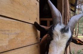 Zacisze Jurajskie - Foto 50