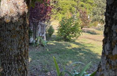 Pigeonnier des Banons - Foto 70