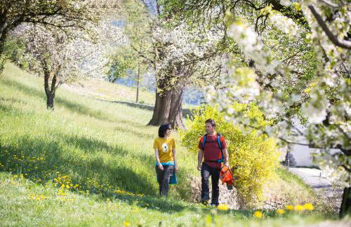 Appartements Riegelehof - Photo 23