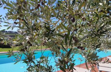 Agriturismo Sommassa - Foto 29